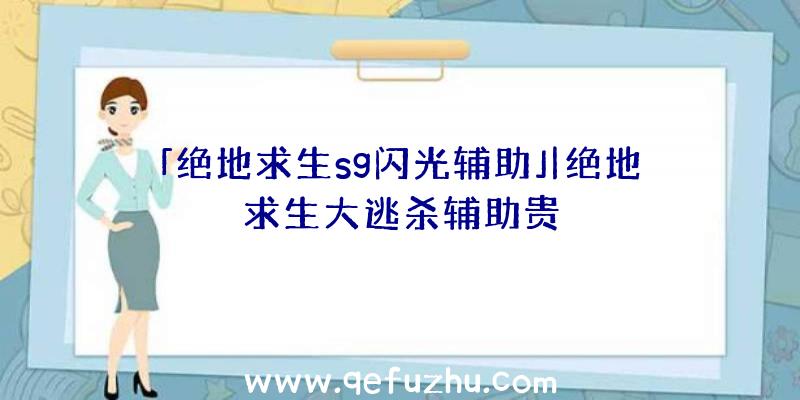 「绝地求生sg闪光辅助」|绝地求生大逃杀辅助贵